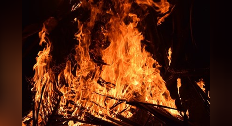 Запалено стърнище подпали 30 дка гора до Борово