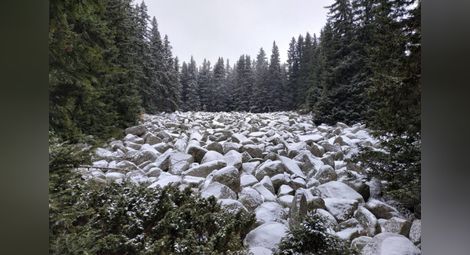 Няма затворени проходи заради снега