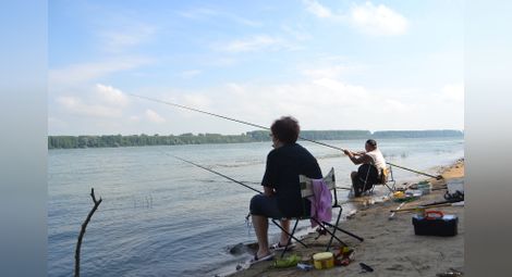 Забраняват за три години риболова  в 17 участъка на река Дунав