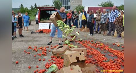 Протест свали цената на кило домати до стотинка