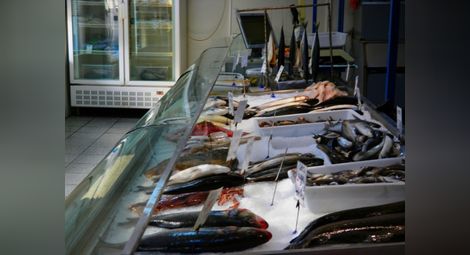 Запечатват рибен  магазин в Русе