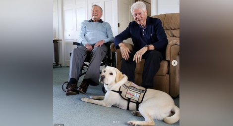 Кучето на Буш - вярно и след смъртта 
