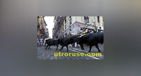 Бикове прегазиха четирима души в Памплона 