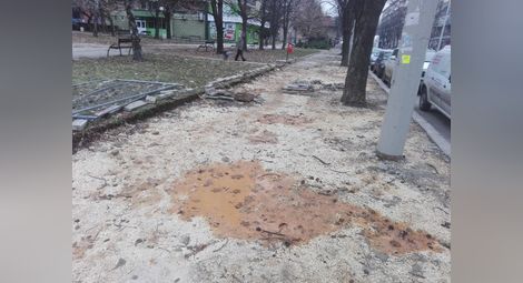Високите блокове по „Борисова“: Газим кал и локви като на село