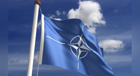 Парламентарната асамблея на НАТО прекратява комуникация с Русия