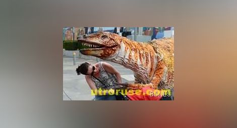 Крокодил на 50 млн. години изкопаха в Австралия