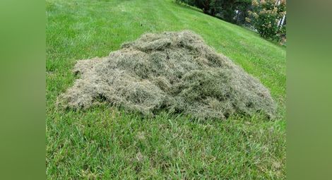 „Паркстрой“ отнесе 3000 лева глоба  заради неизвозена окосена трева 