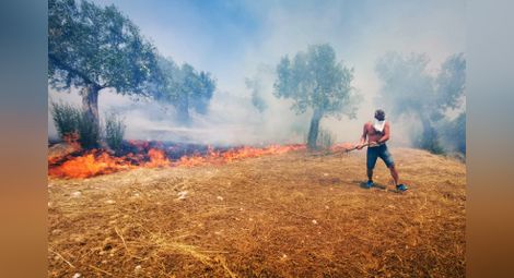 Нов пожар избухна в околностите на Атина