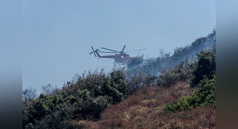 Голям пожар на гръцкия остров Евбея, евакуиран е манастир