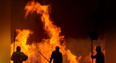 Пожарите в Амазонка: Бразилските тропически гори горят с рекордна скорост