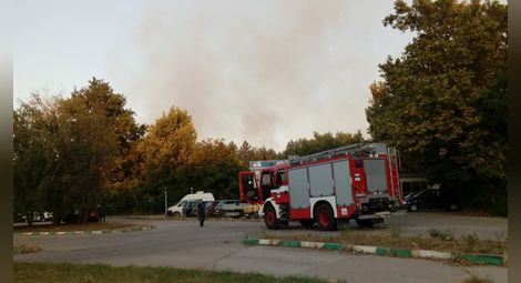Искра от локомотив подпали 100 дка сухи треви и борова гора близо до дом „Приста“