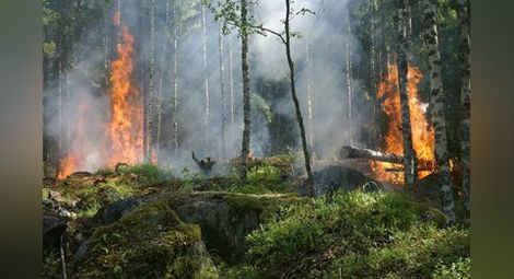 Над 80 горски пожара е имало през август