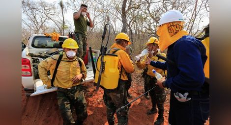 Броят на пожарите в Амазонската джунгла продължава да расте