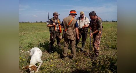 Ловците дадоха две седмици отсрочка за разрешението да излизат за глигани с кучета