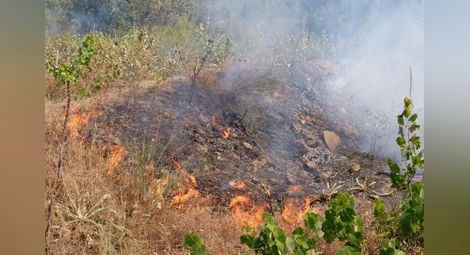 Излъгани за пари дървосекачи от Котел подпалили гора край Ветово