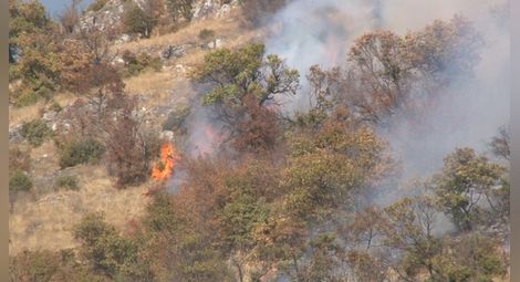 Локализиран е пожарът край Чипровци, над 120 души гасят огъня