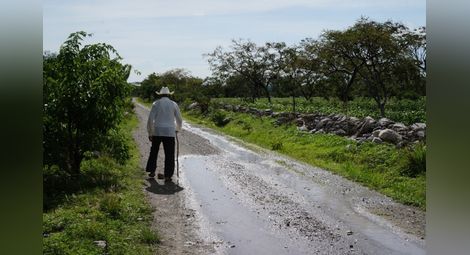 Фермери се жалват, че никой  не поддържа селските пътища