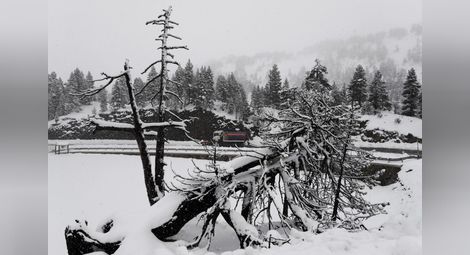 Сняг и дъжд причиниха хаос в Австрия