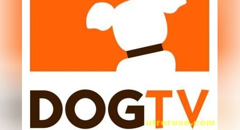 В САЩ стартира телевизия само за кучета