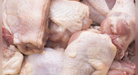 Над 100 тона пилешко със салмонела на родния пазар