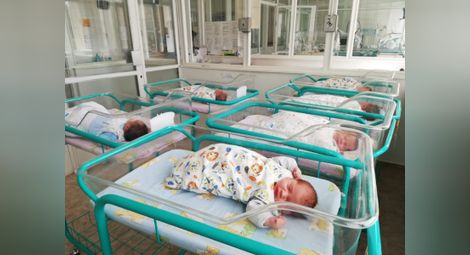 4.3 кг разлика между най-малкото и най-голямото бебе в болница „Канев“