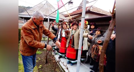 Кметът на Бъзовец Лъчезар Минчев заряза лоза в двора на винопроизводителите Стоянка и Захари Тодорови.