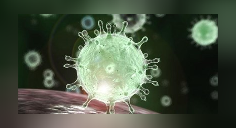Двама великотърновци под наблюдение за симптоми на коронавирус