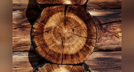 5 причини дървесината да не обича водата
