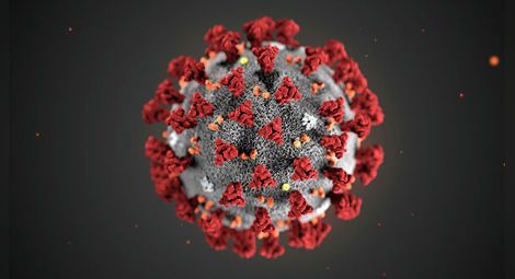 Учените не признават създаването на коронавируса
