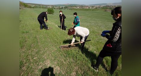 1600 фиданки явор, липа, бяла акация и цер засадиха в община Ценово
