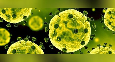 Германски учени разкриха кои органи напада коронавирусът