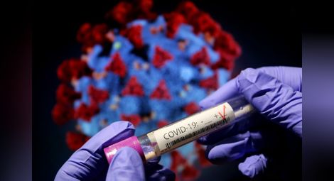 Само 6 месеца имунитет срещу коронавируса