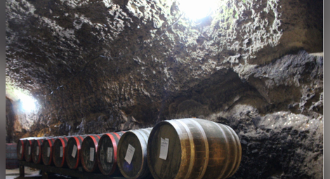 Българска винарна за първи път в Топ 50 на световните винени дестинации