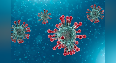 Откриха кои са най-силните антитела срещу коронавируса