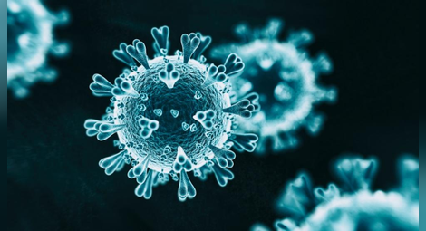270 са новите случаи на коронавирус у нас, отново 8 са починали за последните 24 часа
