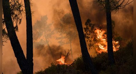 20 активни пожара бушуват на територията на страната