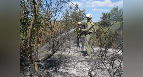 Куп незаконни сметища изникнаха сред голям пожар в Пухлево дере