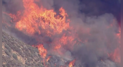 Евакуация в Лос Анджелис заради бързо разрастващ се горски пожар