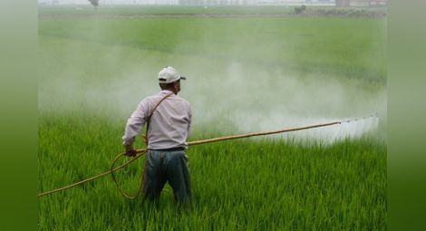 100 тона загробени пестициди открити при проверки, разпоредени от ВАП на МОСВ