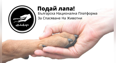 Благотворителен ZooMаркет в помощ на животните на България