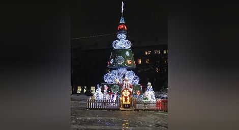 Елхата на площада вече отброява дните до Коледа