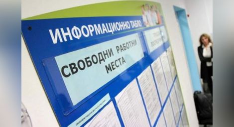 Обявите за работа в Русе намаляват с 19% през ноември