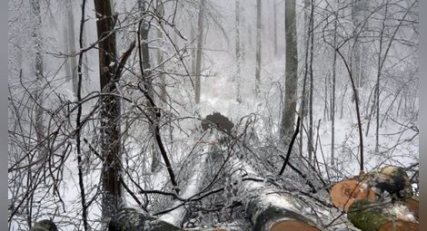 Хиляди във Видин и Монтана са без ток заради авария на електропровод