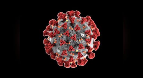 13 февруари - първи път ден без починали от коронавирус за 11 месеца