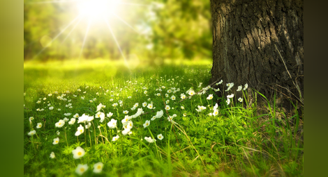 Стопля се, до 12 градуса днес