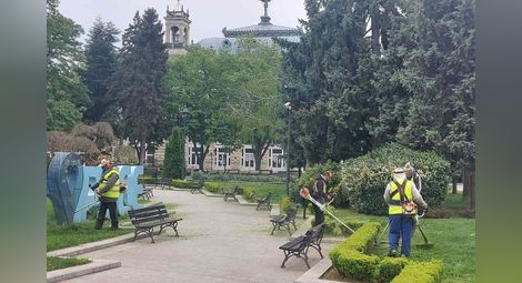 Вижте пълния график на косенето на тревните площи в Русе