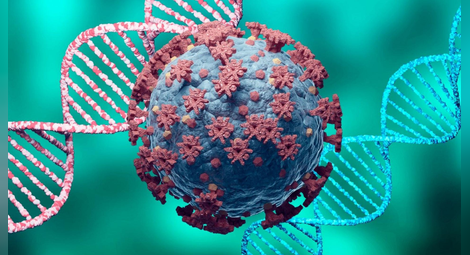 Наши учени правят лекарство срещу коронавирус с коластра