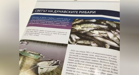 Русенският музей показва изложбата „Рибарите от Лом и Орсоя“