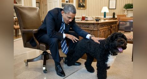 Почина Бо - кучето на Барак Обама и звезда на Белия дом