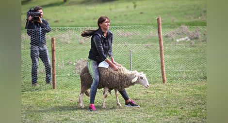 Виктория Джумпарова язди овца в Къртицата 2
